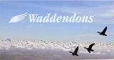 Waddendons Scharreldons hele-jaar-door-dekbed